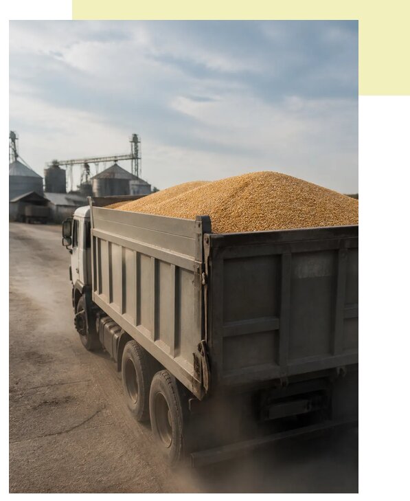 Перевозка сельхозпродукции навалом в Зиму по цене от 3068 р. | Агросервис-Зма